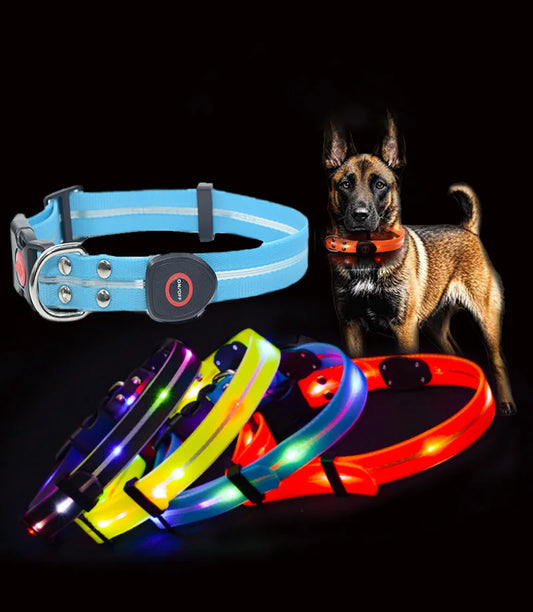 Collar Led Para tu mascota
