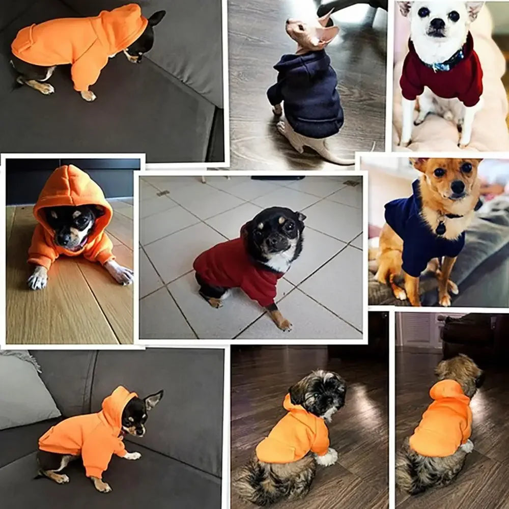 Hoodie Para Tu Mascosta