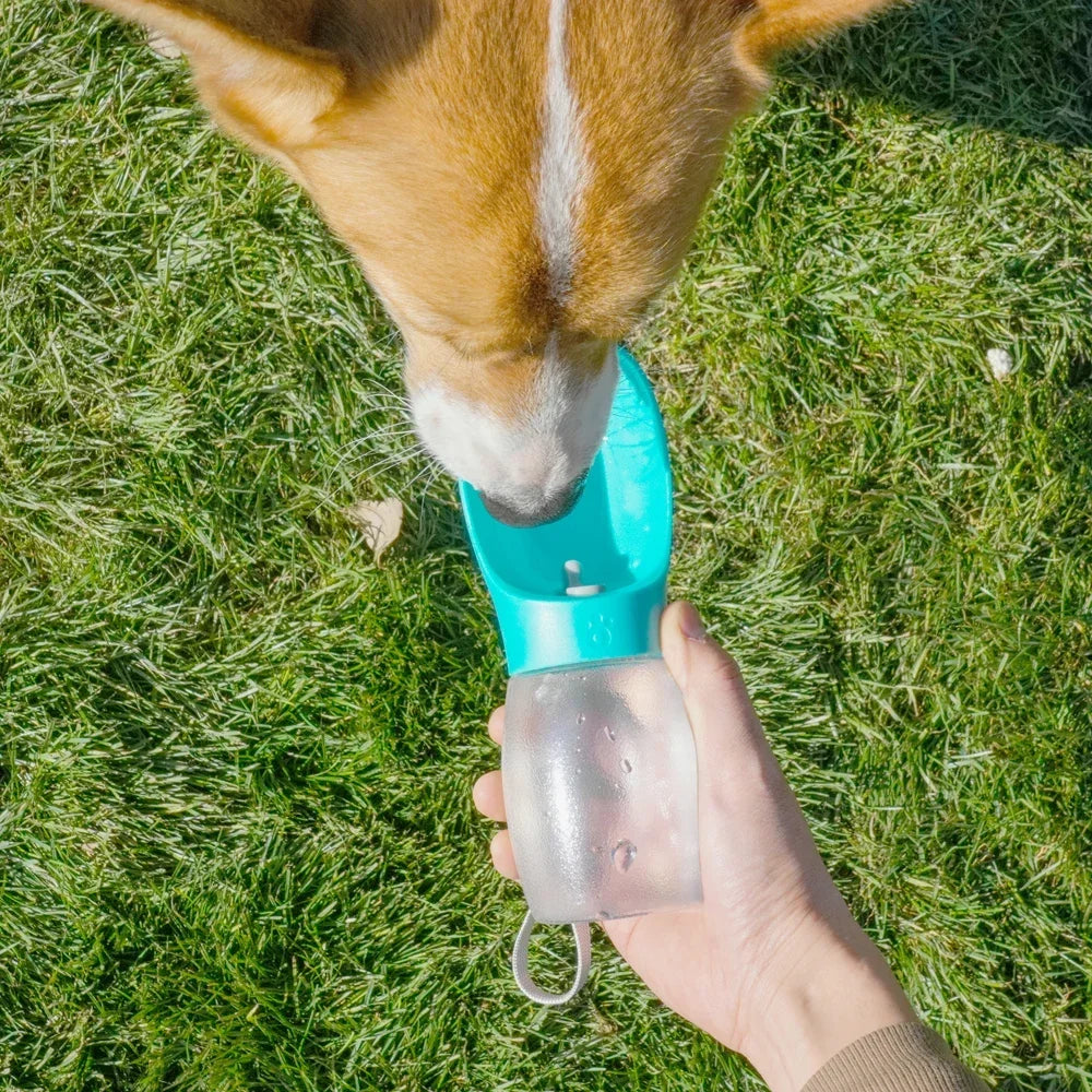 Botella De Paseo